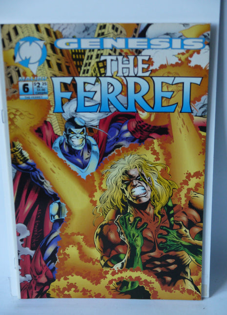 Ferret (1992 2nd series) #6 - Mycomicshop.be