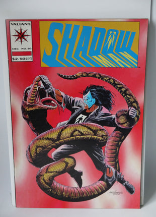 Shadowman (1992 1st Series) #20 - Mycomicshop.be