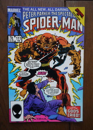 Spectacular Spider-Man (1976 1st Series) #111 - Mycomicshop.be