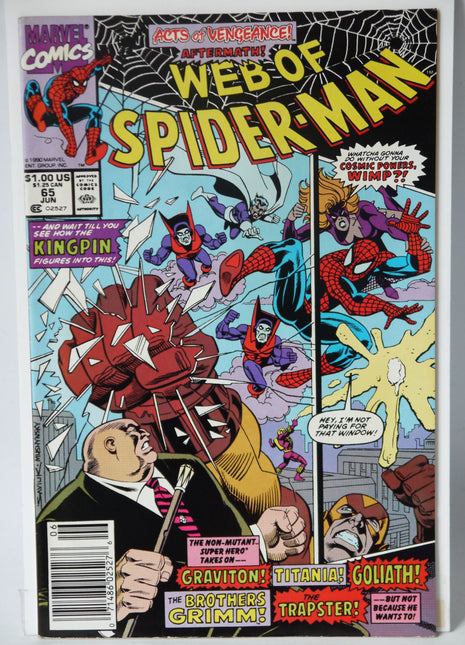 Web of Spider-Man (1985 1st Series) #65 - Mycomicshop.be